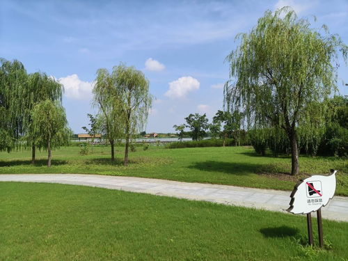 北湖湿地公园门票,北湖湿地公园游玩攻略 360地图