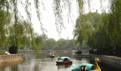 漯河市人民公园即将焕新升级 城市绿肺如何承载几代人的记忆与未来？